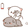 Gomu and peach || cute cat 10
