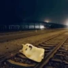 Funny Animated Memes 6