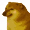 Memes 6