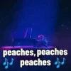 Bowser (Peaches)  21