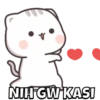 PENTOL BUCIIN  10