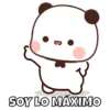 Osito🐻💖 11