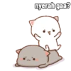 Gomu and peach || cute cat 11