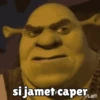 Shrek tengil 13