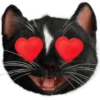 Kucing Gemoy <3 9