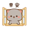 Kucing gemoy 13