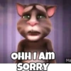 Talking Tom 8