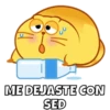 Michi Gordo :3🐱💖 12