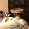 😈 Randoms con frases 🤨😂 5