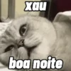 Respostas rápidas 😄✌️ 7