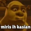 Shrek tengil 17