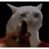 Sad meme 5
