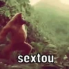 MEMES QUE VCS CURTEM  10