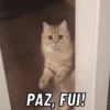 PRA TIRAR DO SÉRIO? 4