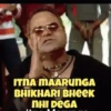 Bollywood 13
