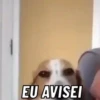 PRA TIRAR DO SÉRIO? 13