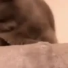 WTF***🤯 8