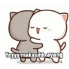 Cute peach cat 12