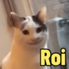 MEMES PARA VOCÊ 7