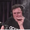 MemeHub 6