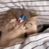 Animalitos Reacciones MOV 9