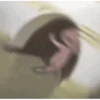 Random MeMe 9