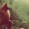 Funny memes 15