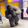 Tá bombando no TikTok 3 8