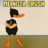 PATOLINO SINCERO 🦆 6