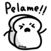 Sr.Pan 2 14