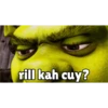 Shrek tengil 15
