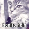 Vários memes p vc 14