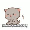 Cute peach cat 13