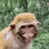 Funny Memes 10