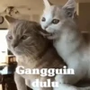 Animasi kucing 28