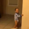 Memes 5