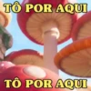 SUPER MARIO BROS 🐢🍄👨🏻‍🔧 6