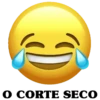 EMOJIS ANIMADOS 😁😋 7