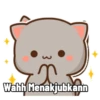 Cute peach cat 7