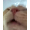 Memes Graciosos 2🤣🤯 12