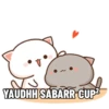 Cute peach cat 5