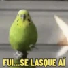 SÓ PARA PERTURBAR 😛 5