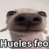 😈 Randoms con frases 🤨😂 9