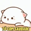 Gosta de alguém? usa essas aq 14