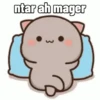 Peach Cat (3) 12