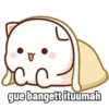 Cute peach cat 8