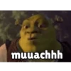 Shrek tengil 7