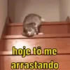 ACHEI MEU MEME  15