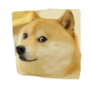 FUNNY memes (Without bg) 11