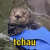 Soh no deboche 6